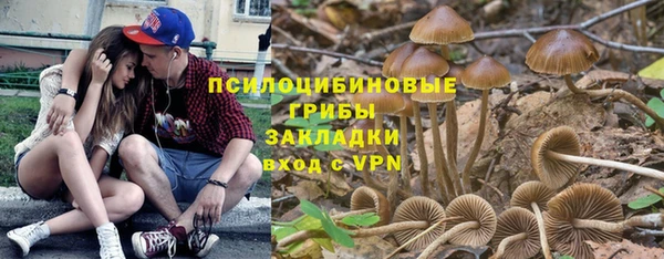 МДПВ Абдулино
