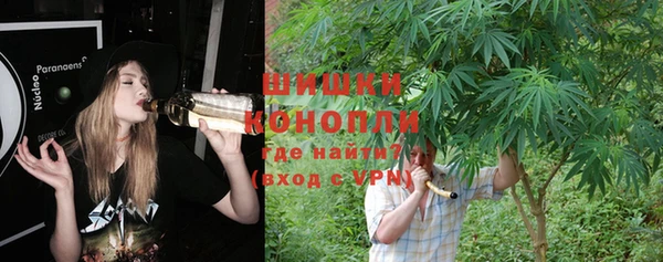 МДПВ Абдулино