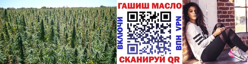 ТГК THC oil  сколько стоит  Хилок 
