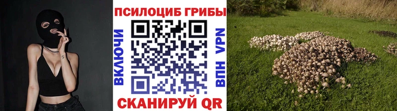 Галлюциногенные грибы ЛСД  МЕГА ссылки  Хилок  где найти  